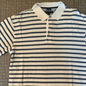 Tommy Hilfiger Blue and White Striped Polo Shirt